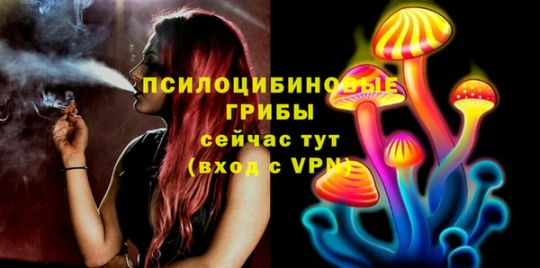 дмт Белоозёрский