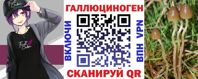 Купить закладки Чистополь Галлюциногенные грибы мицелий