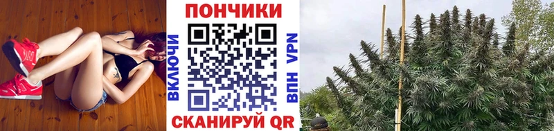 Канабис Amnesia Чистополь